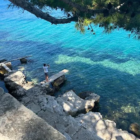 Abi * سيغيت فغانييتْسا