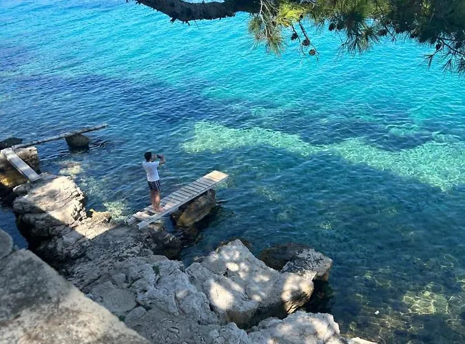 Abi * 希杰·弗朗吉卡